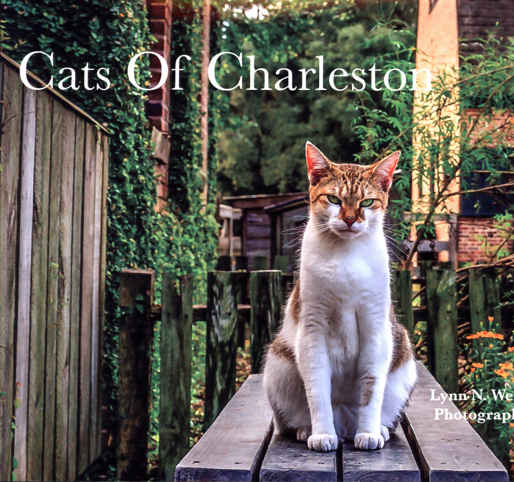 CATS OF CHARLESTON.